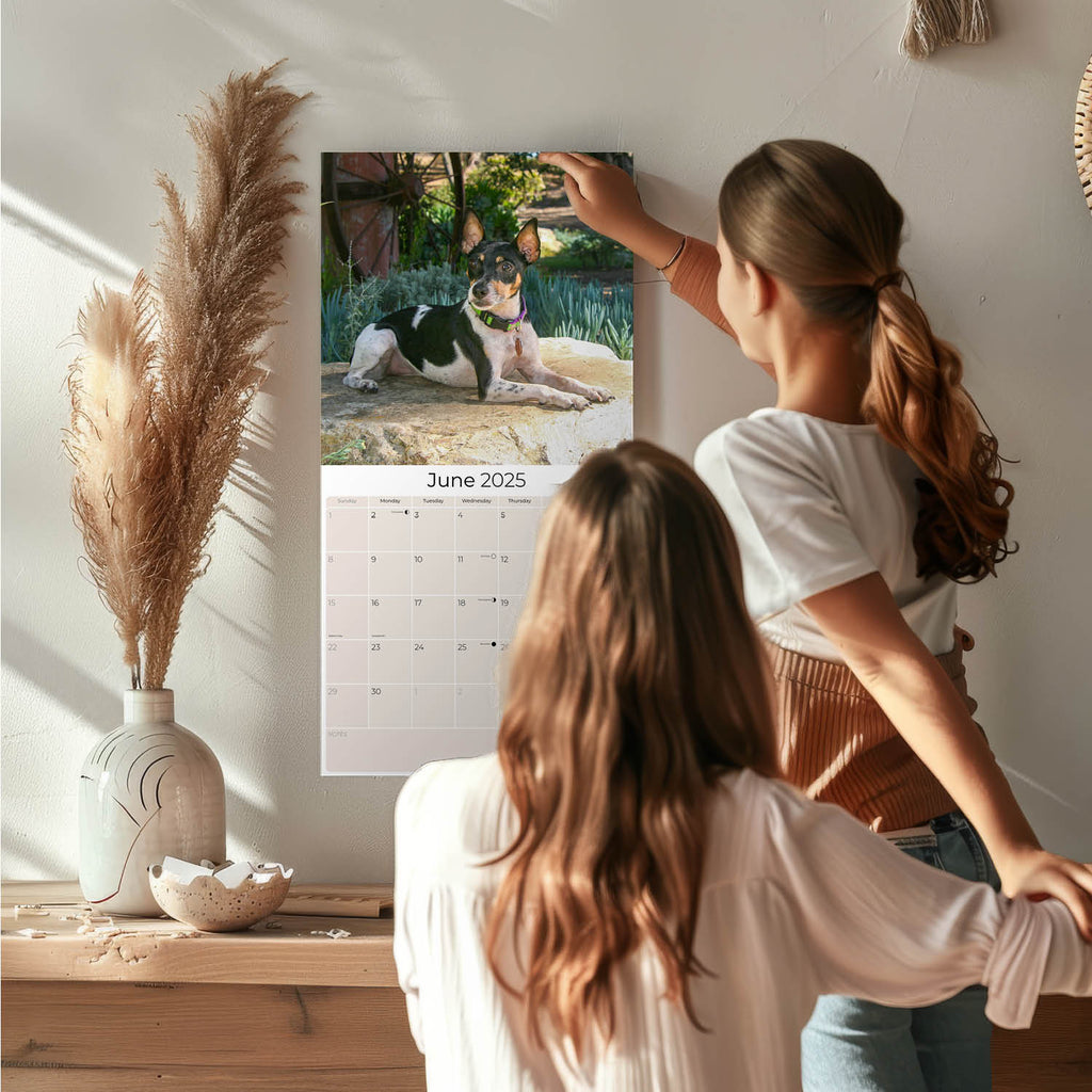 Rat Terrier Wall Calendar 2025
