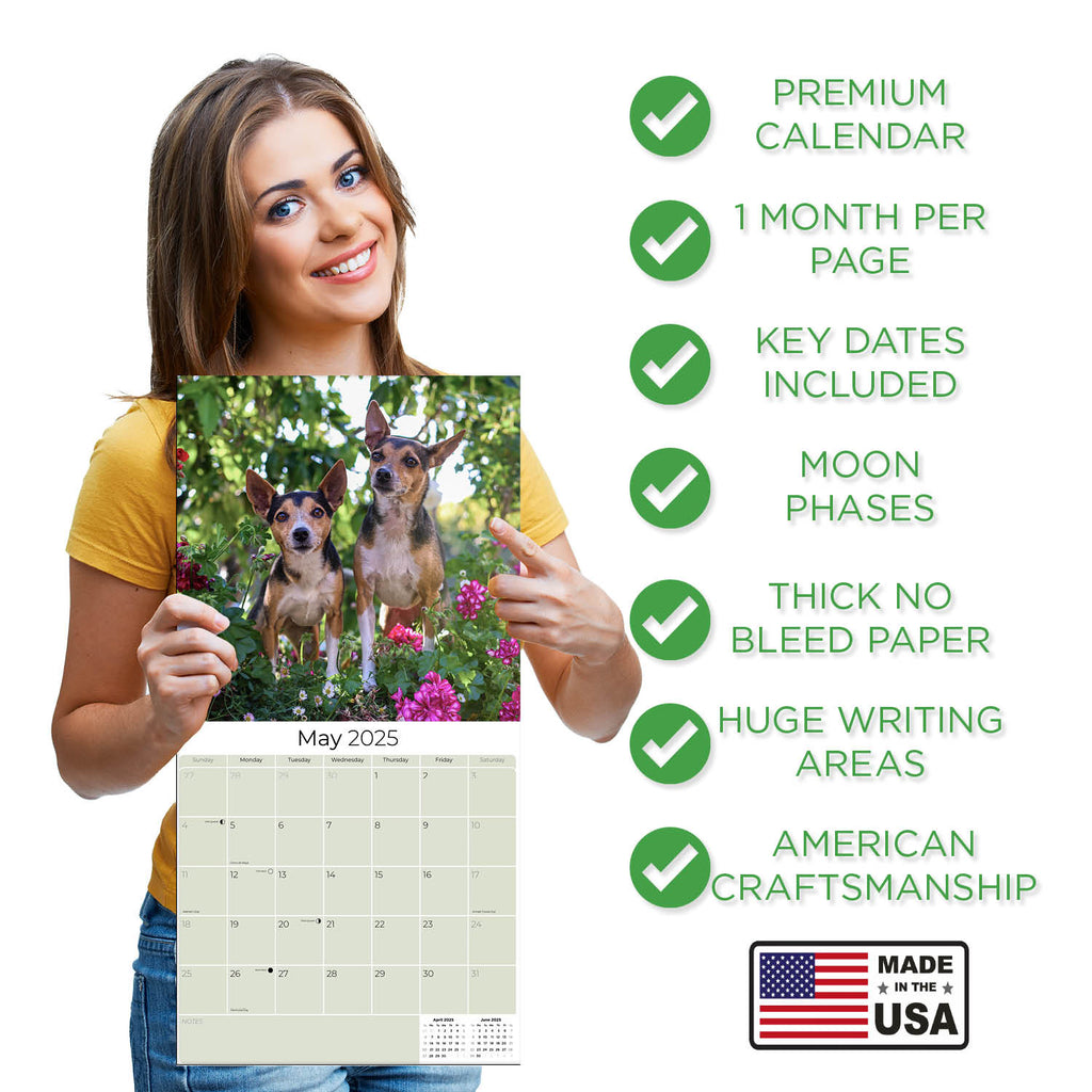 Rat Terrier Wall Calendar 2025