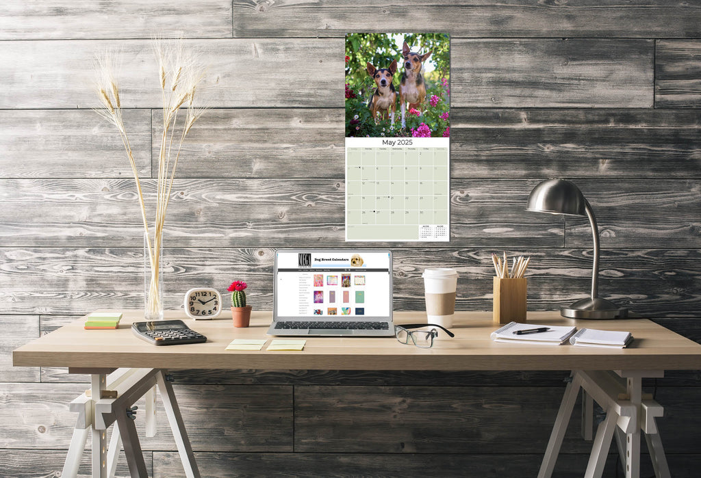 Rat Terrier Wall Calendar 2025