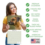 Rhodesian Ridgeback Wall Calendar 2025