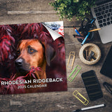 Rhodesian Ridgeback Wall Calendar 2025