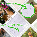 Rhodesian Ridgeback Wall Calendar 2025