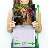 Rhodesian Ridgeback Wall Calendar 2025
