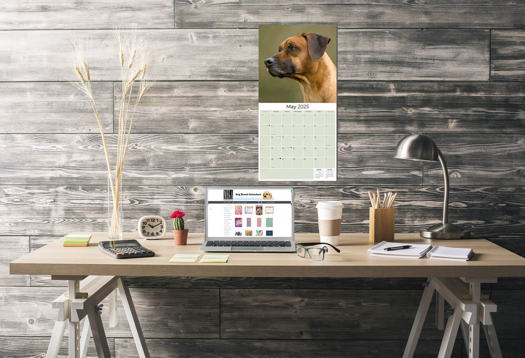 Rhodesian Ridgeback Wall Calendar 2025