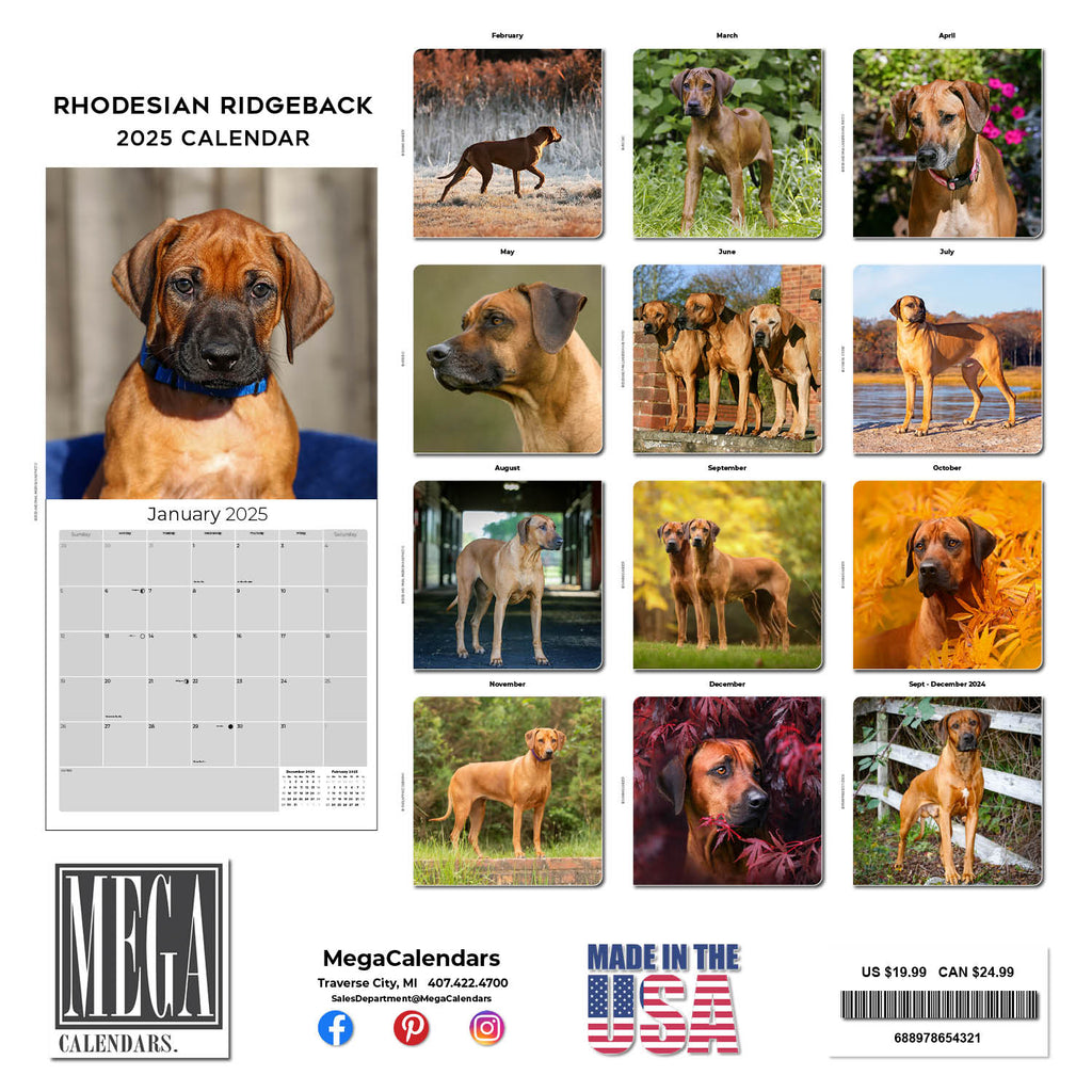 Rhodesian Ridgeback Wall Calendar 2025