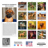 Rhodesian Ridgeback Wall Calendar 2025