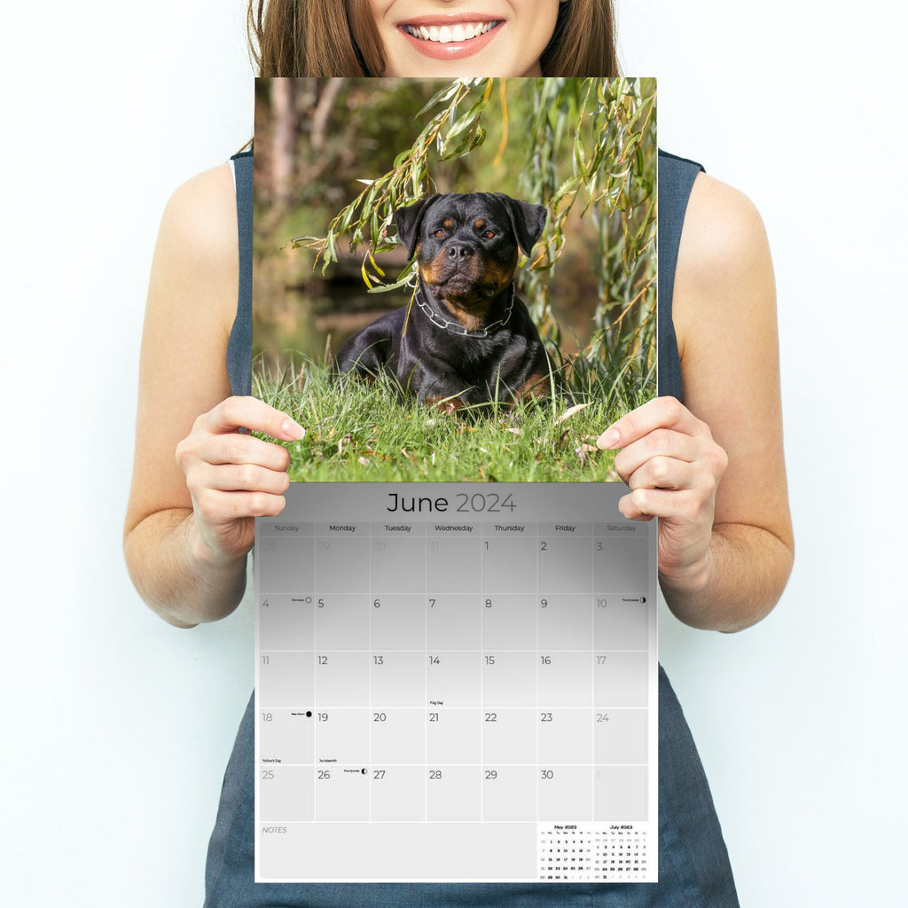 Rottweiler Wall Calendar 2024