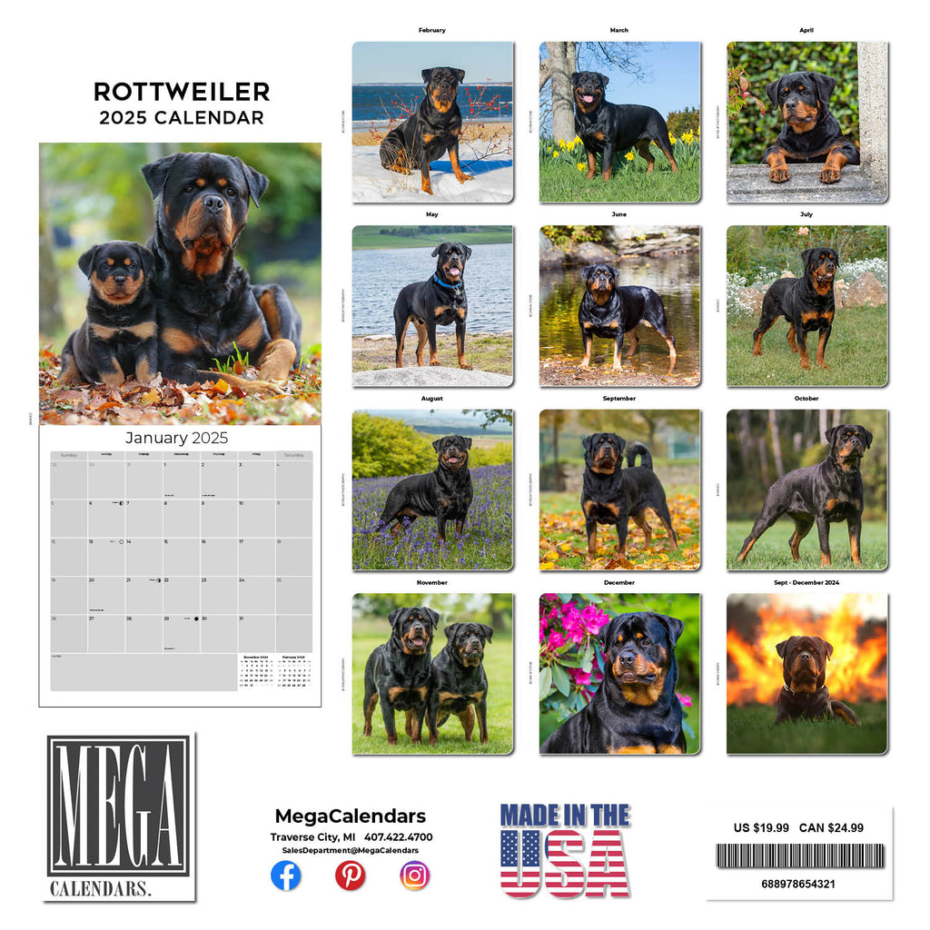 Rottweiler Wall Calendar 2025