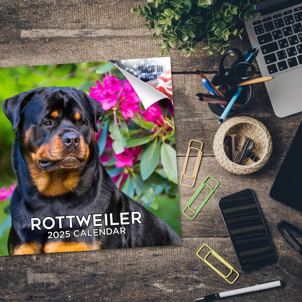 Rottweiler Wall Calendar 2025