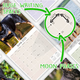 Rottweiler Wall Calendar 2025