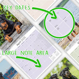 Rottweiler Wall Calendar 2025