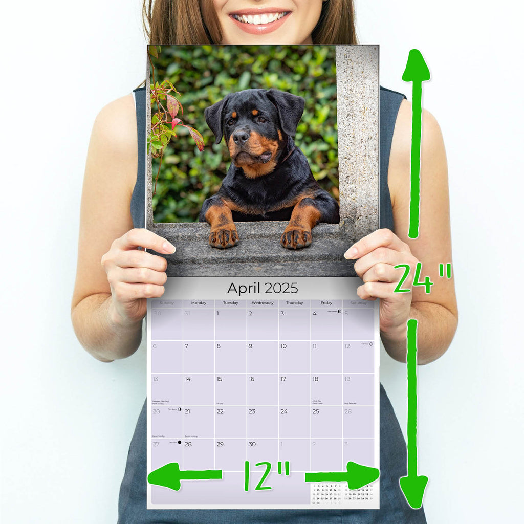 Rottweiler Wall Calendar 2025