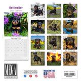 Rottweiler Wall Calendar 2024