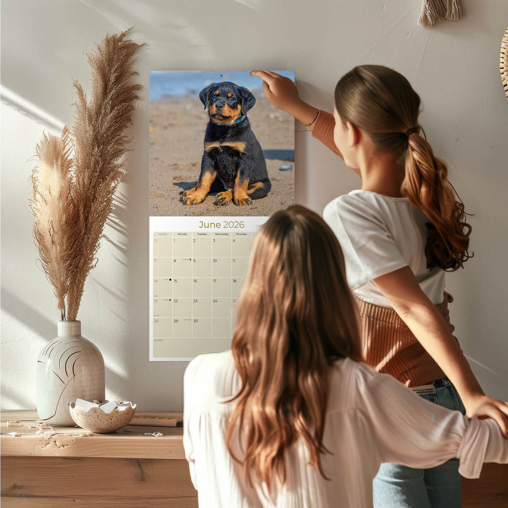 Rottweiler Puppies Wall Calendar 2026