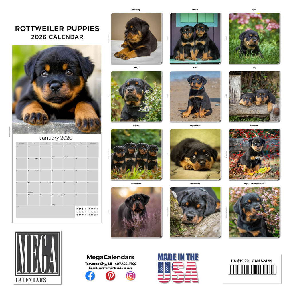 Rottweiler Puppies Wall Calendar 2026