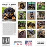 Rottweiler Puppies Wall Calendar 2026