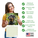 Rottweiler Puppies Wall Calendar 2026