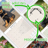 Rottweiler Puppies Wall Calendar 2026