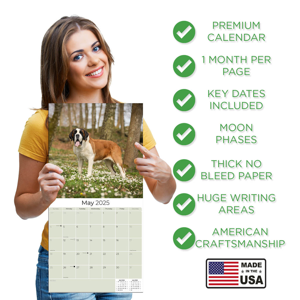 St Bernard Wall Calendar 2025