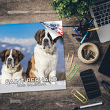 St Bernard Wall Calendar 2025