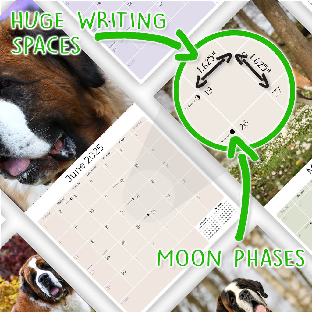 St Bernard Wall Calendar 2025