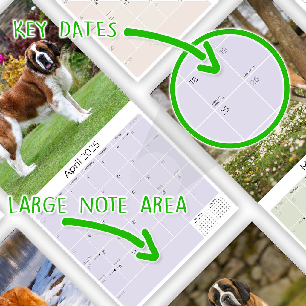 St Bernard Wall Calendar 2025