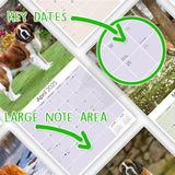 St Bernard Wall Calendar 2025