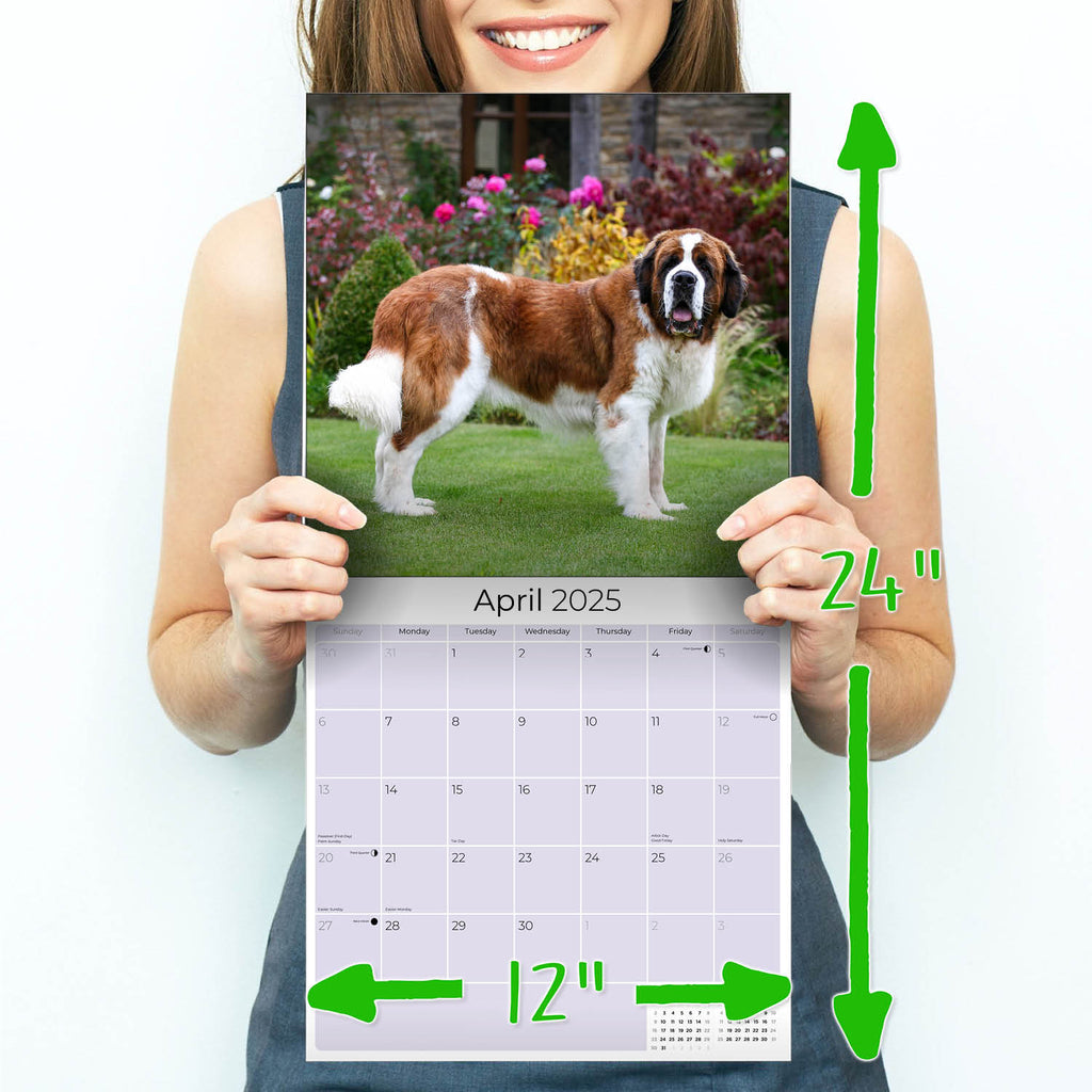 St Bernard Wall Calendar 2025
