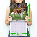 St Bernard Wall Calendar 2025