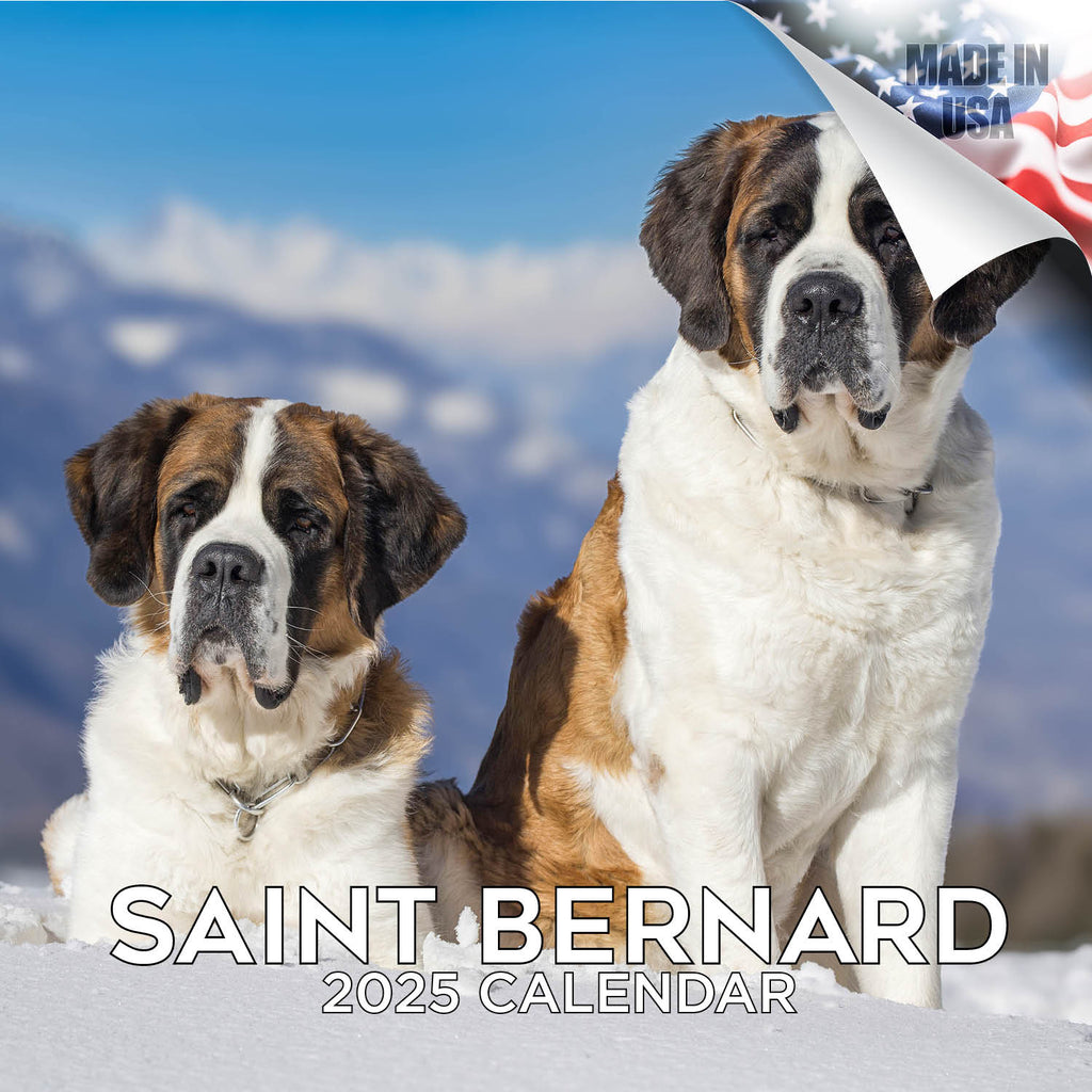 St Bernard Wall Calendar 2025