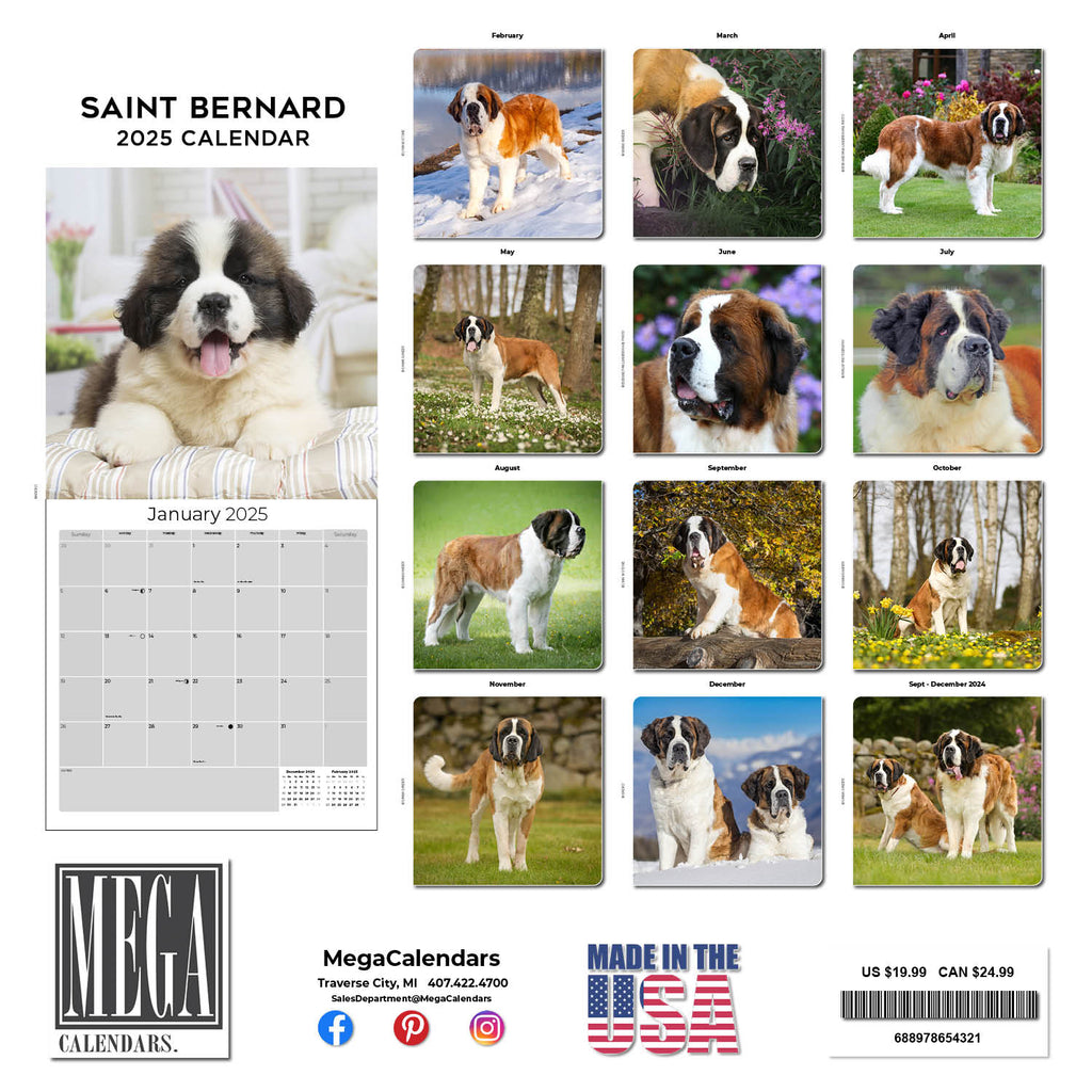 St Bernard Wall Calendar 2025