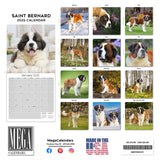 St Bernard Wall Calendar 2025