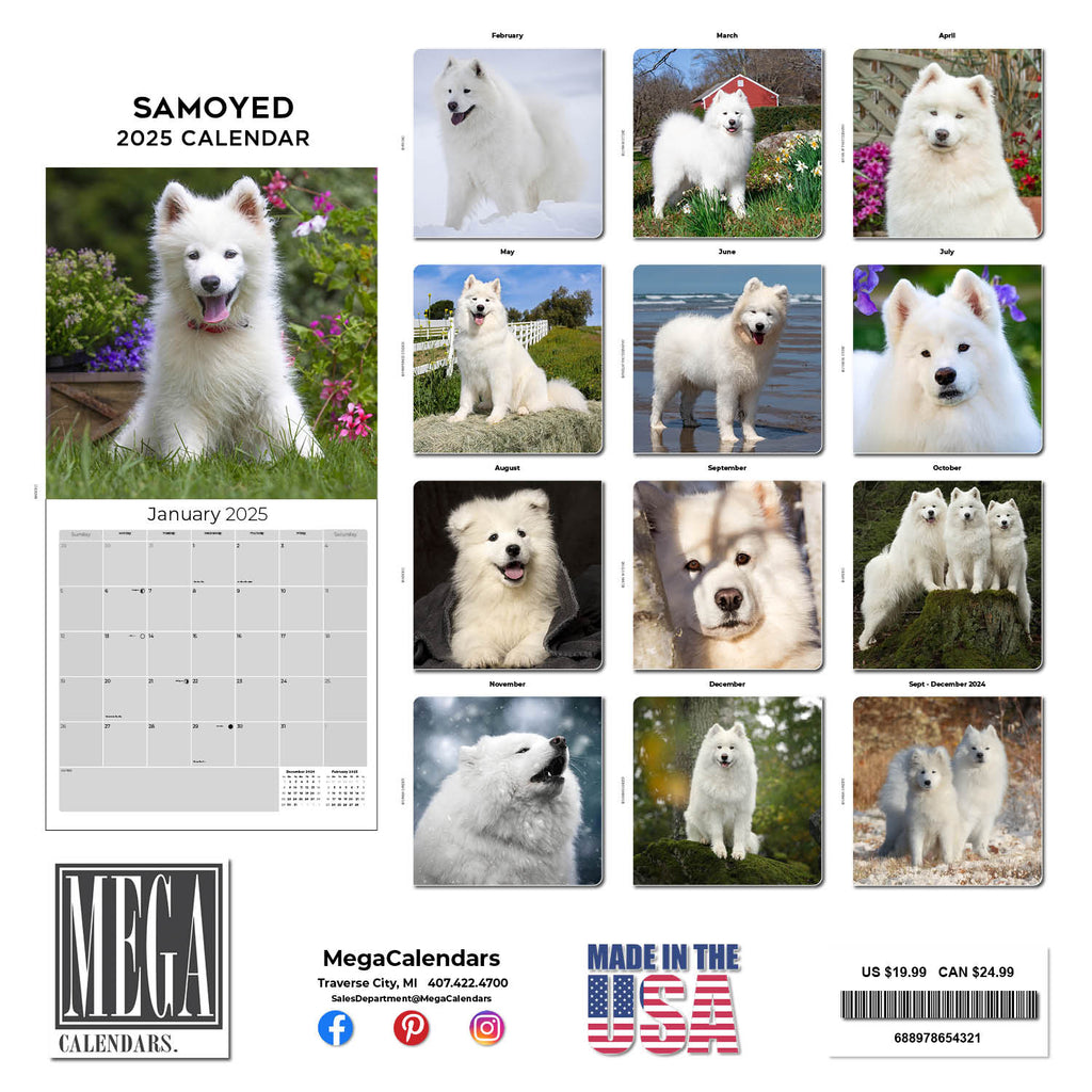 Samoyed Wall Calendar 2025
