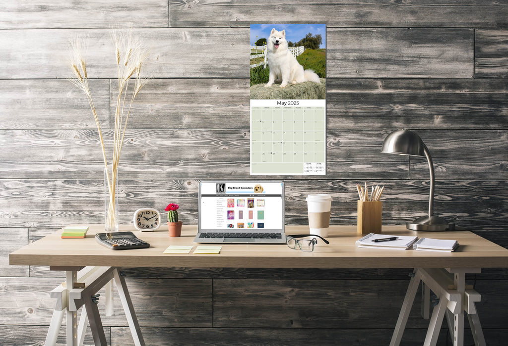 Samoyed Wall Calendar 2025