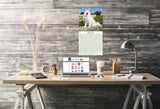 Samoyed Wall Calendar 2025