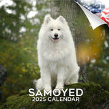 Samoyed Wall Calendar 2025