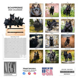 Schipperke Wall Calendar 2025