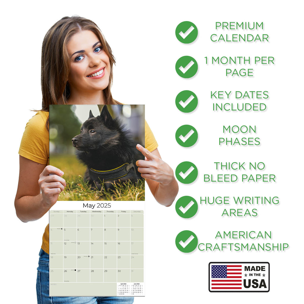 Schipperke Wall Calendar 2025