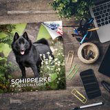 Schipperke Wall Calendar 2025