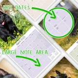 Schipperke Wall Calendar 2025