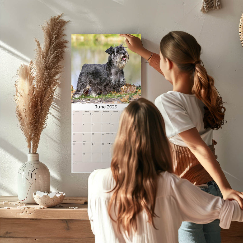 Schnauzer Miniature Wall Calendar 2025