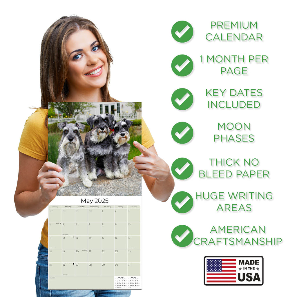 Schnauzer Miniature Wall Calendar 2025