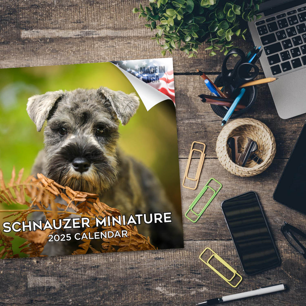 Schnauzer Miniature Wall Calendar 2025