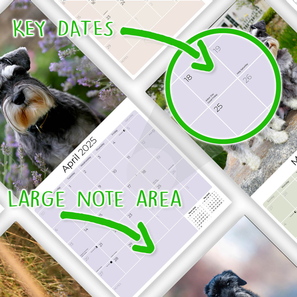 Schnauzer Miniature Wall Calendar 2025