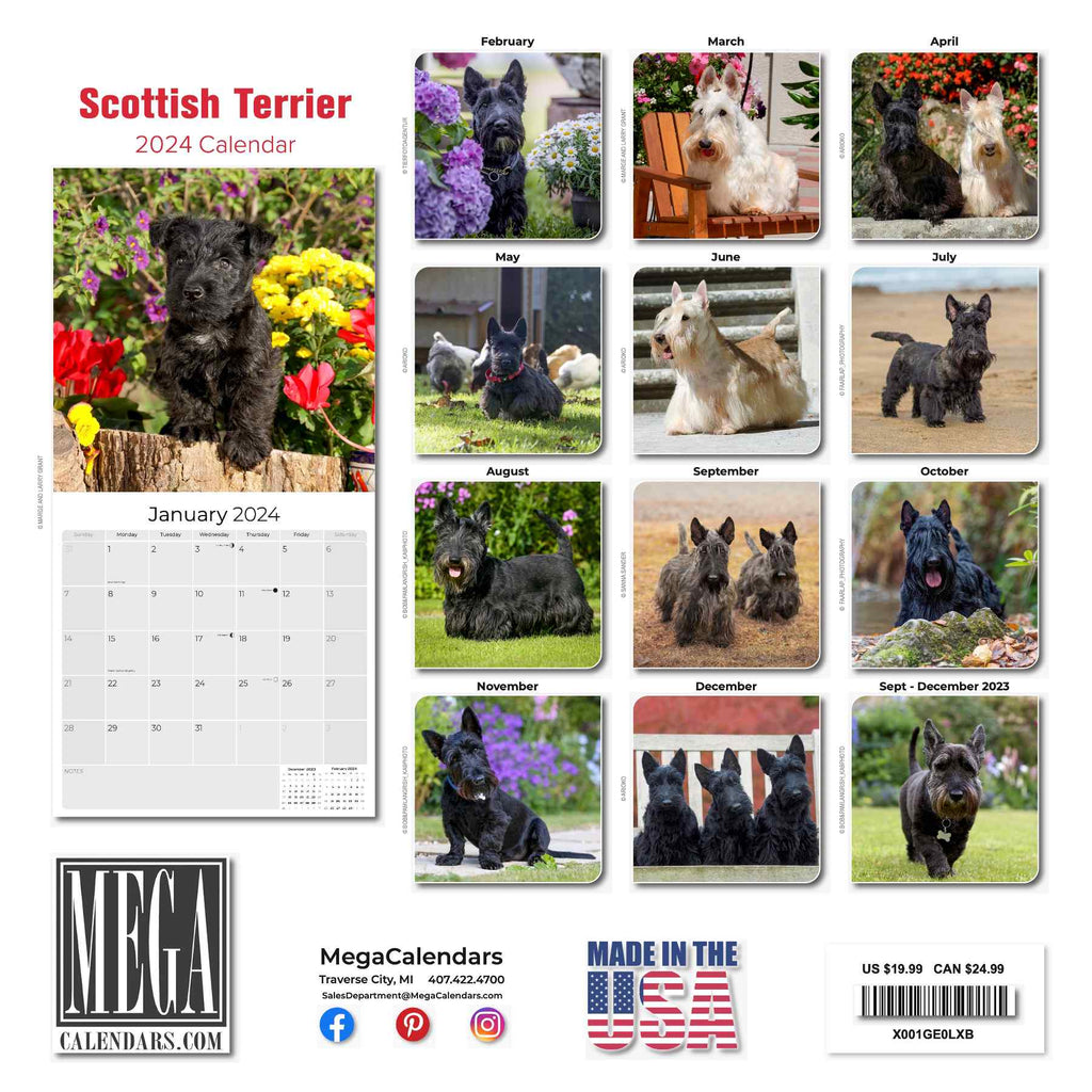Scottish Terrier Wall Calendar 2024