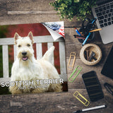 Scottish Terrier Wall Calendar 2025