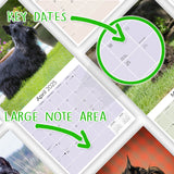 Scottish Terrier Wall Calendar 2025