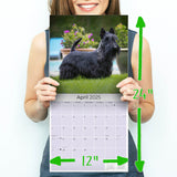 Scottish Terrier Wall Calendar 2025
