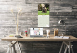 Scottish Terrier Wall Calendar 2025