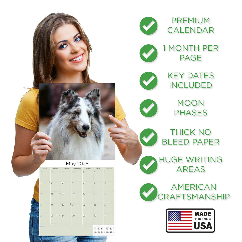 Shetland Sheepdog Wall Calendar 2025